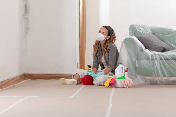 Reliable Black Mold Remediation contractor in Salem, VA by Car Mold Remediation
